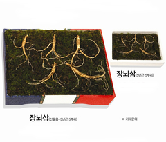 장뇌삼 - 선물용 : 80,000원 / 일반용 : 70