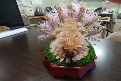 폐백음식 - 오징어닭